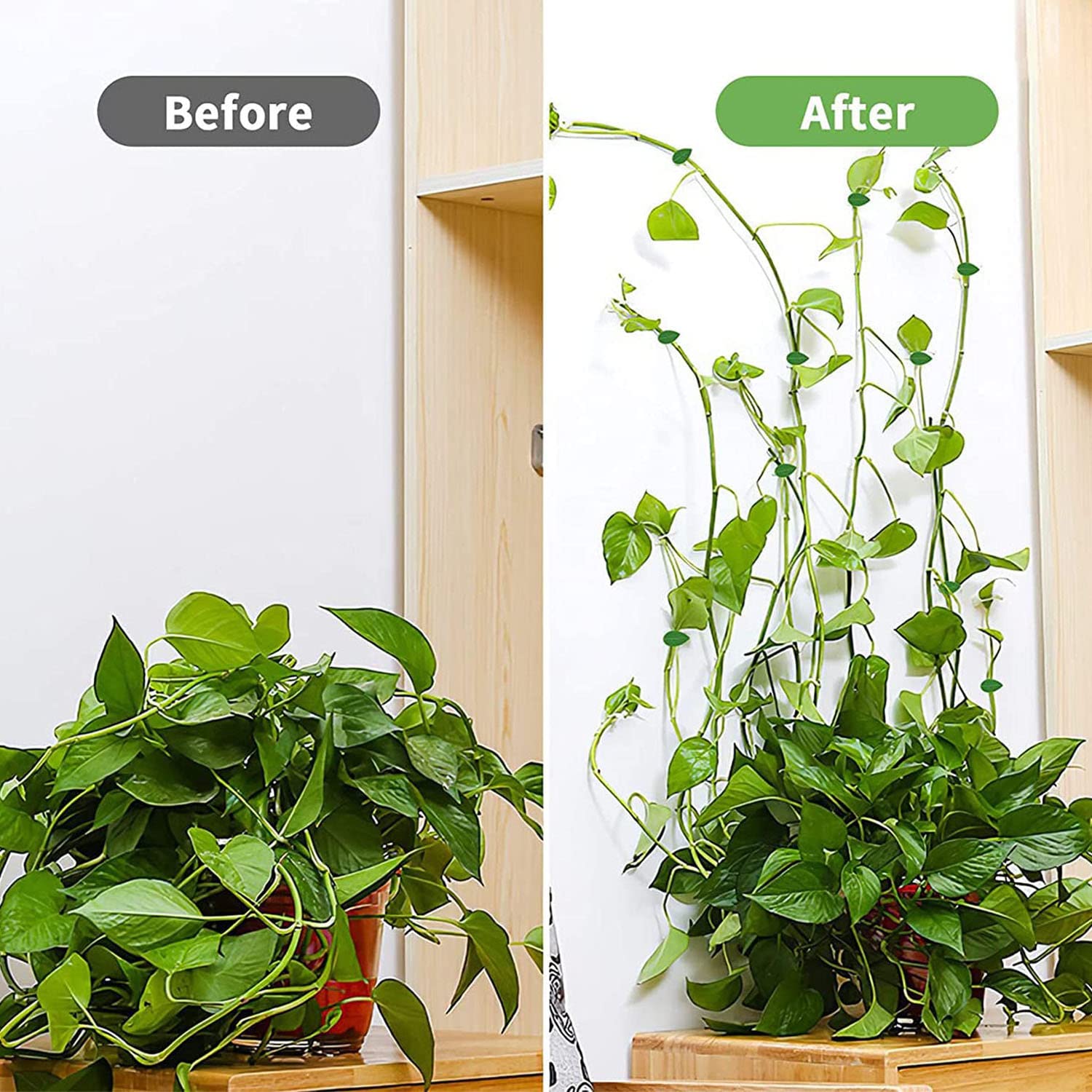 ZIBo cable management clip organizes wires neatly while keeping plants safe.