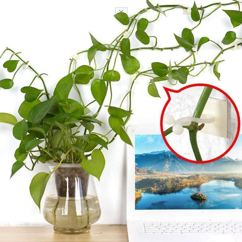 ZIBo indoor garden plant support clip blends with decor and supports growth.