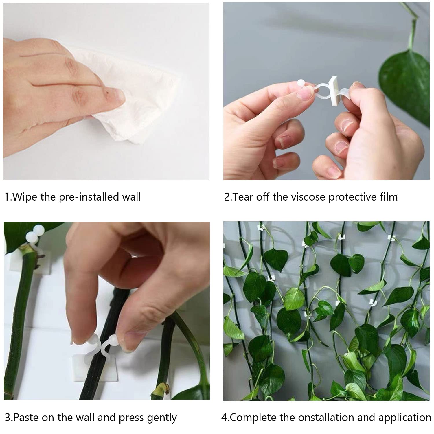 ZIBo wall clip for vines helps training tendrils along smooth surfaces.