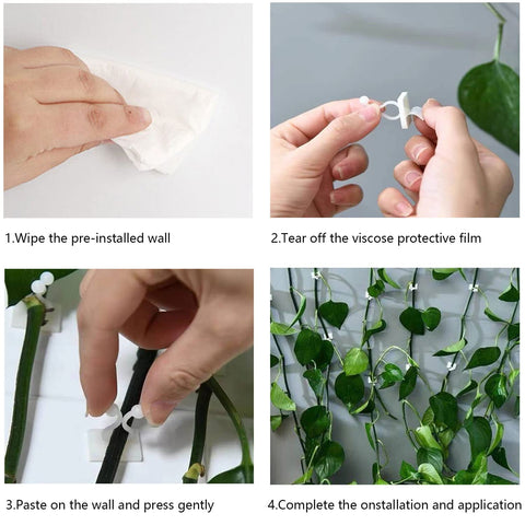 ZIBo wall clip for vines helps training tendrils along smooth surfaces.