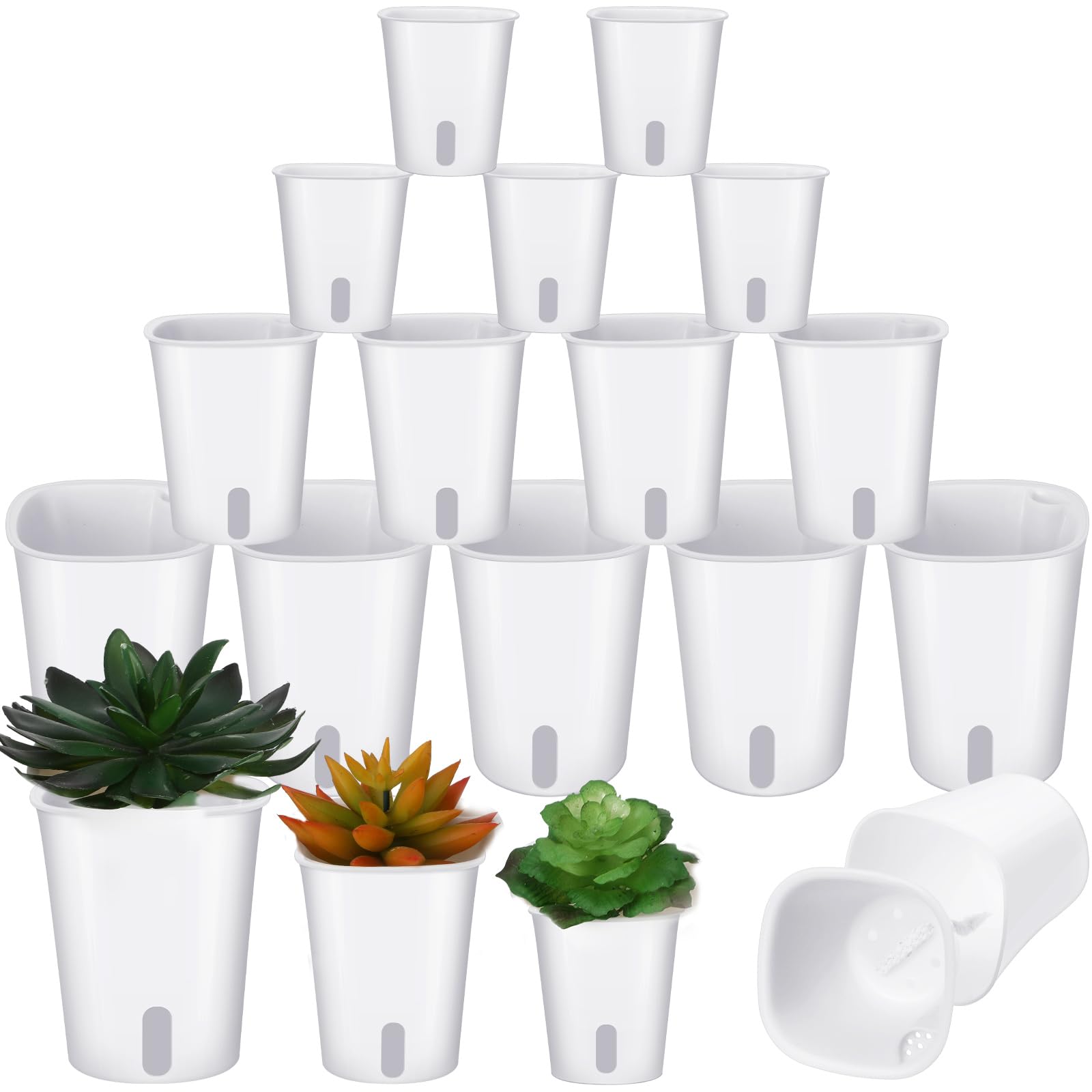 Ziliny self-watering pots group—perfect for versatile indoor plant setups.
