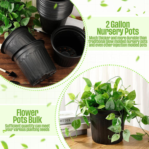 Ziliny 2-Gallon pot dimensions show 8.4 inch top and 8 inch bottom
