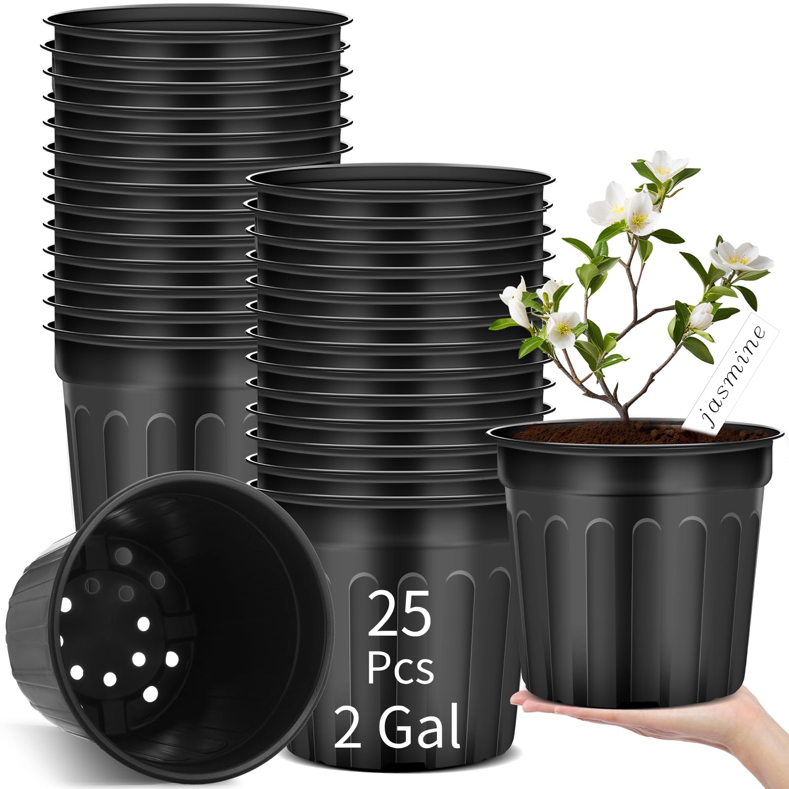 Ziliny 2-Gallon pot top view, sturdy seed starting container ready for seedlings