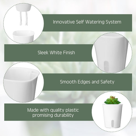 Ziliny bottom water storage design keeps soil evenly moist without daily watering.