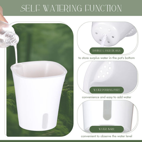 Ziliny indoor pot with air holes promoting root airflow.
