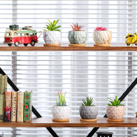 Ziliny durable ceramic pot resists fading and cracking for long term use