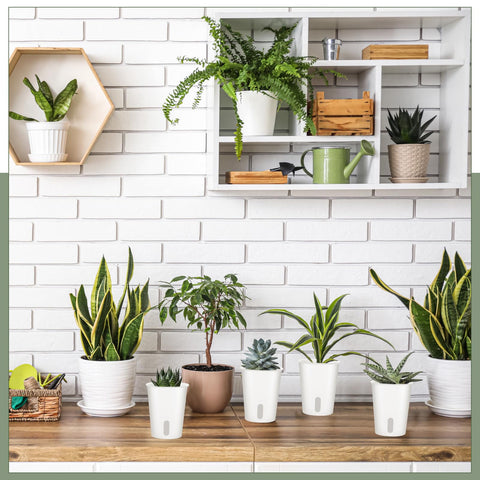 Ziliny glossy white planter adds a stylish touch indoors.