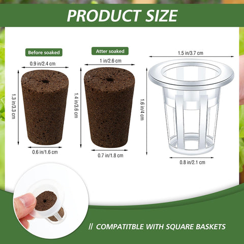 Ziliny grow sponges close-up showing peat texture for moisture absorption.