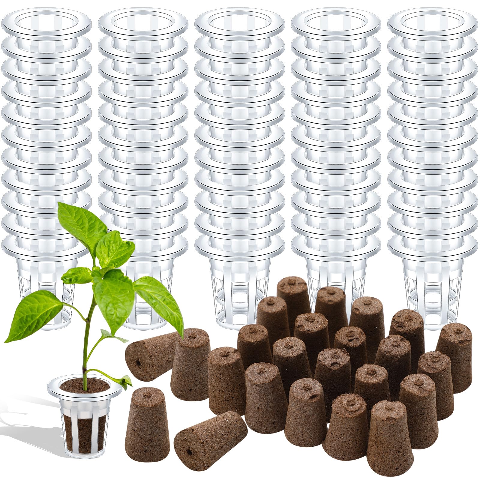 Ziliny grow sponges pods kit packaging for easy starter setup.