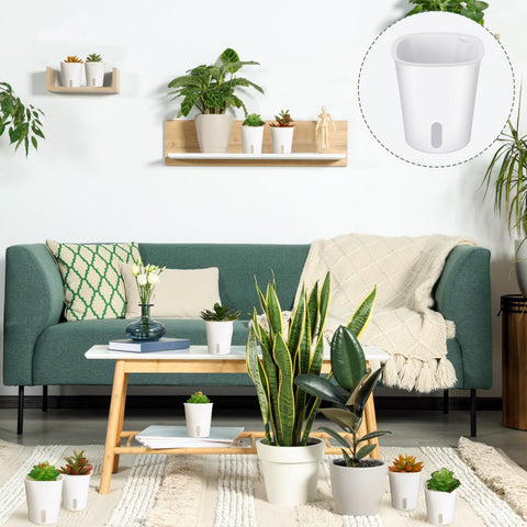 Ziliny indoor balcony planters ideal for windowsills and compact herb gardens.