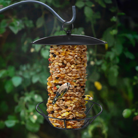 Ziliny seed cake feeder easy assembly with screws and tube