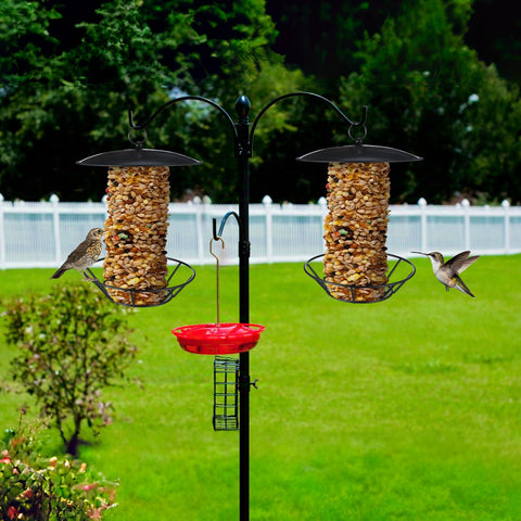 Ziliny weather-protected seed cake feeder supports year-round visits