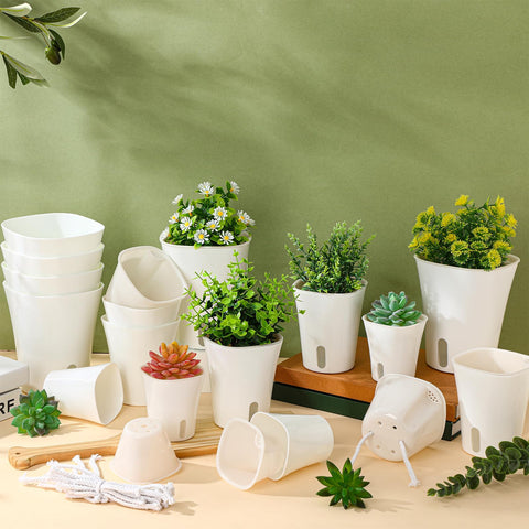 Ziliny white plastic planters—indoor use for herbs and flowers.