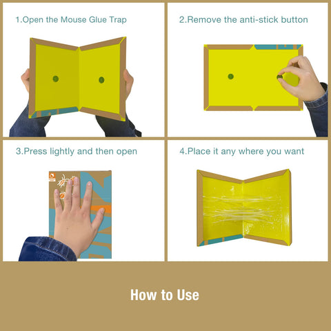 Indoor application for homes and small businesses using ZingZap traps.