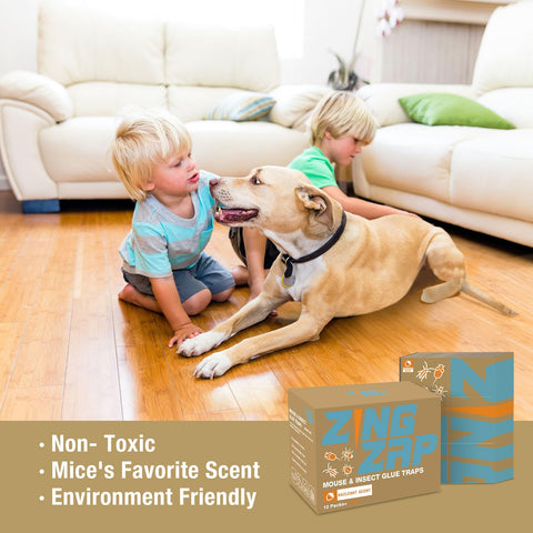 Versatile pest control solution keeps spaces free from unwanted visitors.