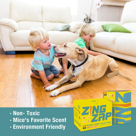 ZingZap 13-pack packaging image shows convenient bulk supply.
