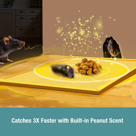 ZingZap trap with hazelnut scent entices mice for effective control.