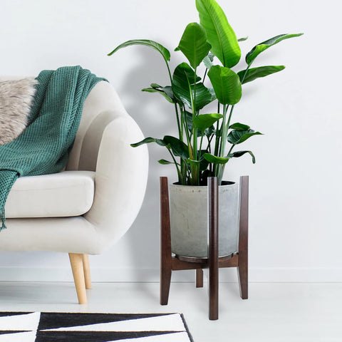 ZIOZERTT inverted-use stand adapts to different plant shapes