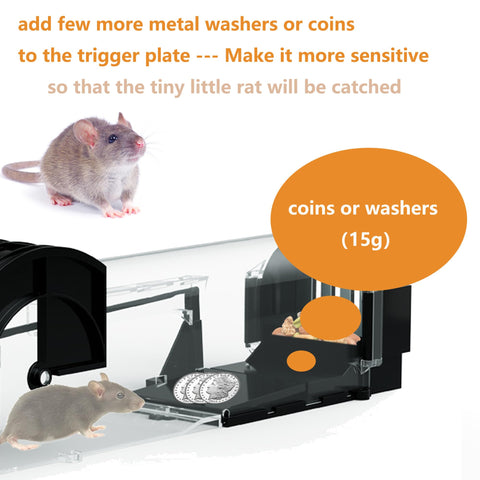 Ziprusburk indoor-outdoor-use makes this trap suitable for various spaces.