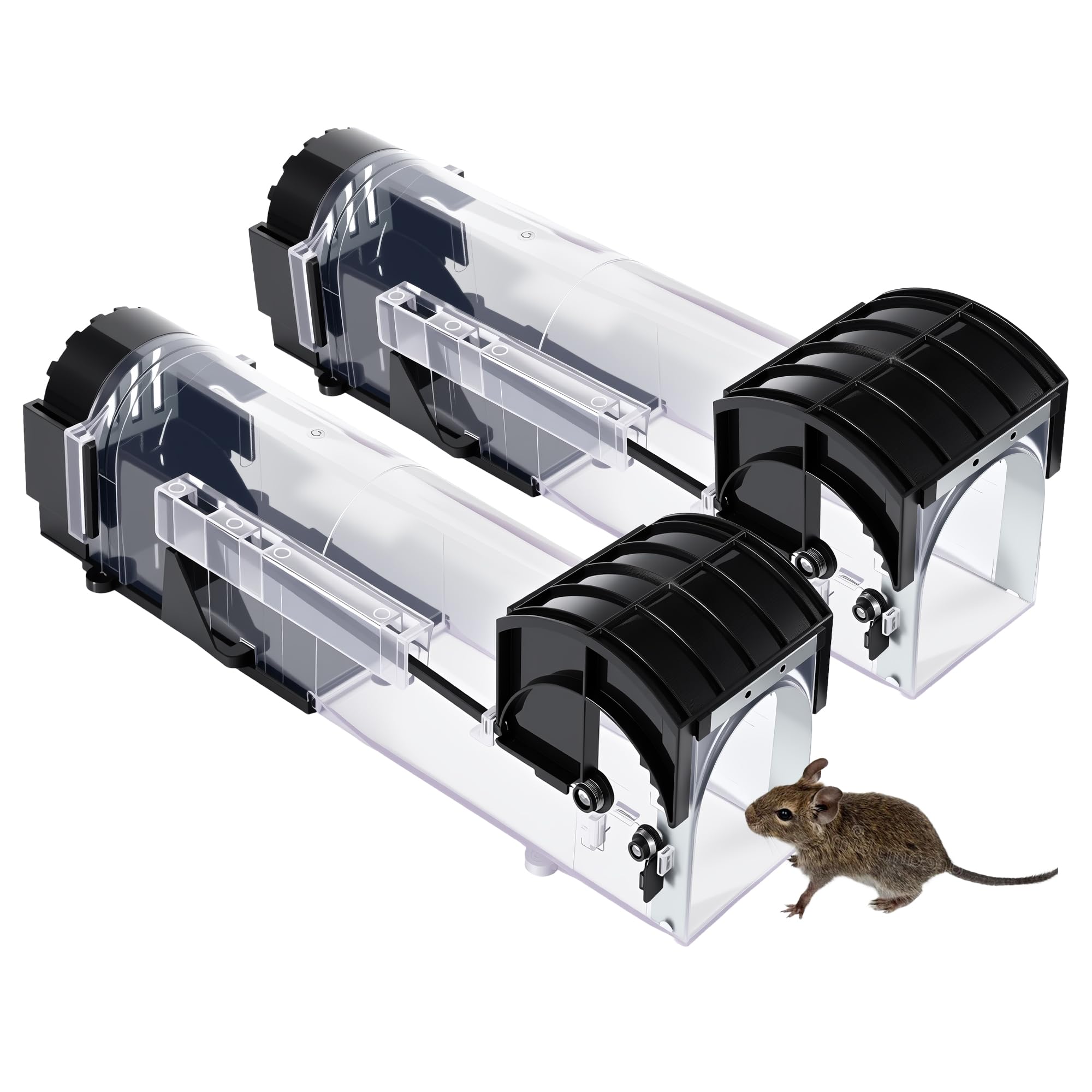 Ziprusburk mouse trap front view shows humane live-catch design for safe release.