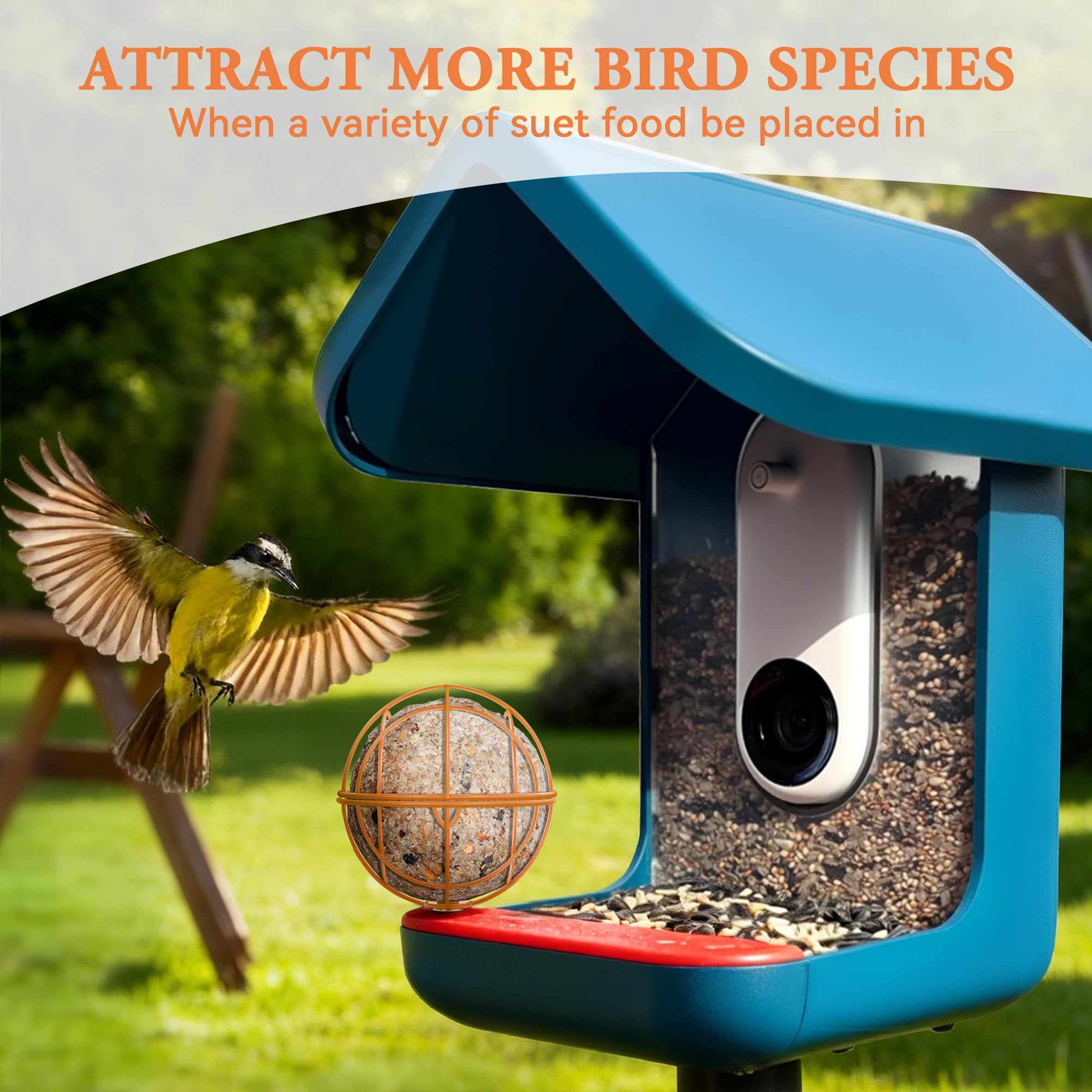 ZIRKOZIR add-on for bird feeders attracts more species and enhances feeding options.