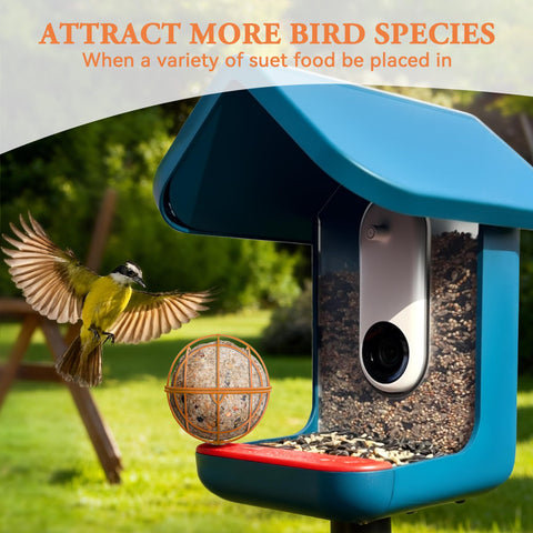 ZIRKOZIR add-on for bird feeders attracts more species and enhances feeding options.