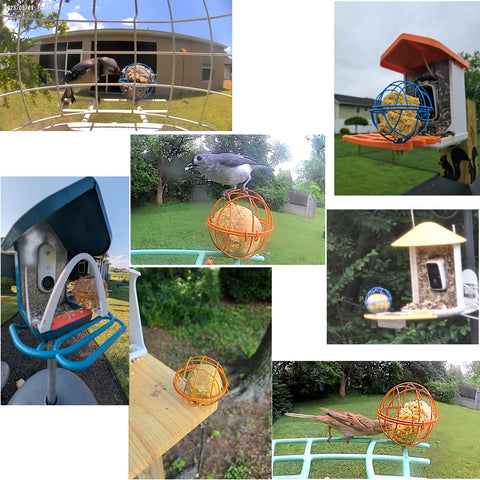 ZIRKOZIR enlarged metal holder holds regular suet balls for versatile use.