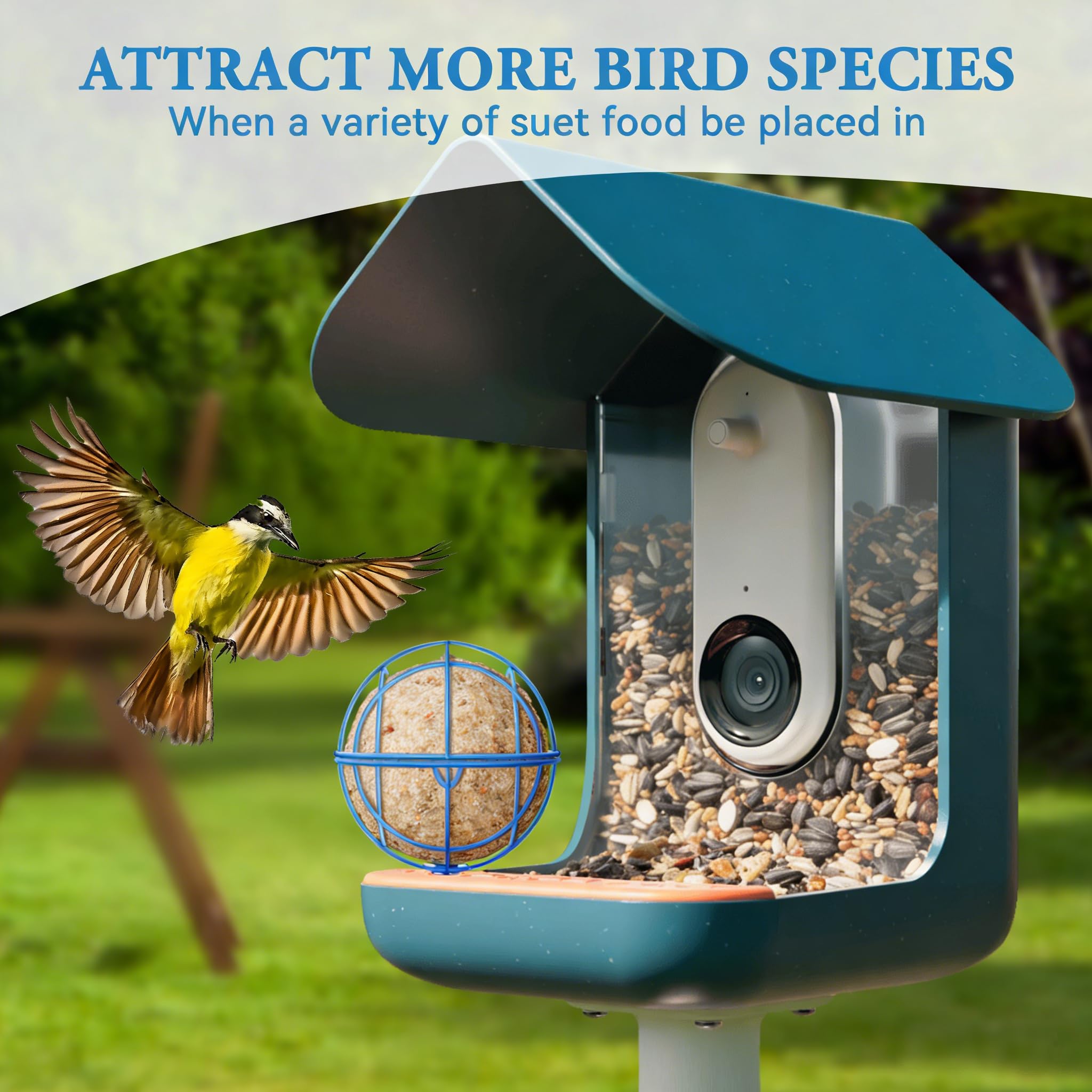 Blue finish complements outdoor feeders while attracting more visitors.