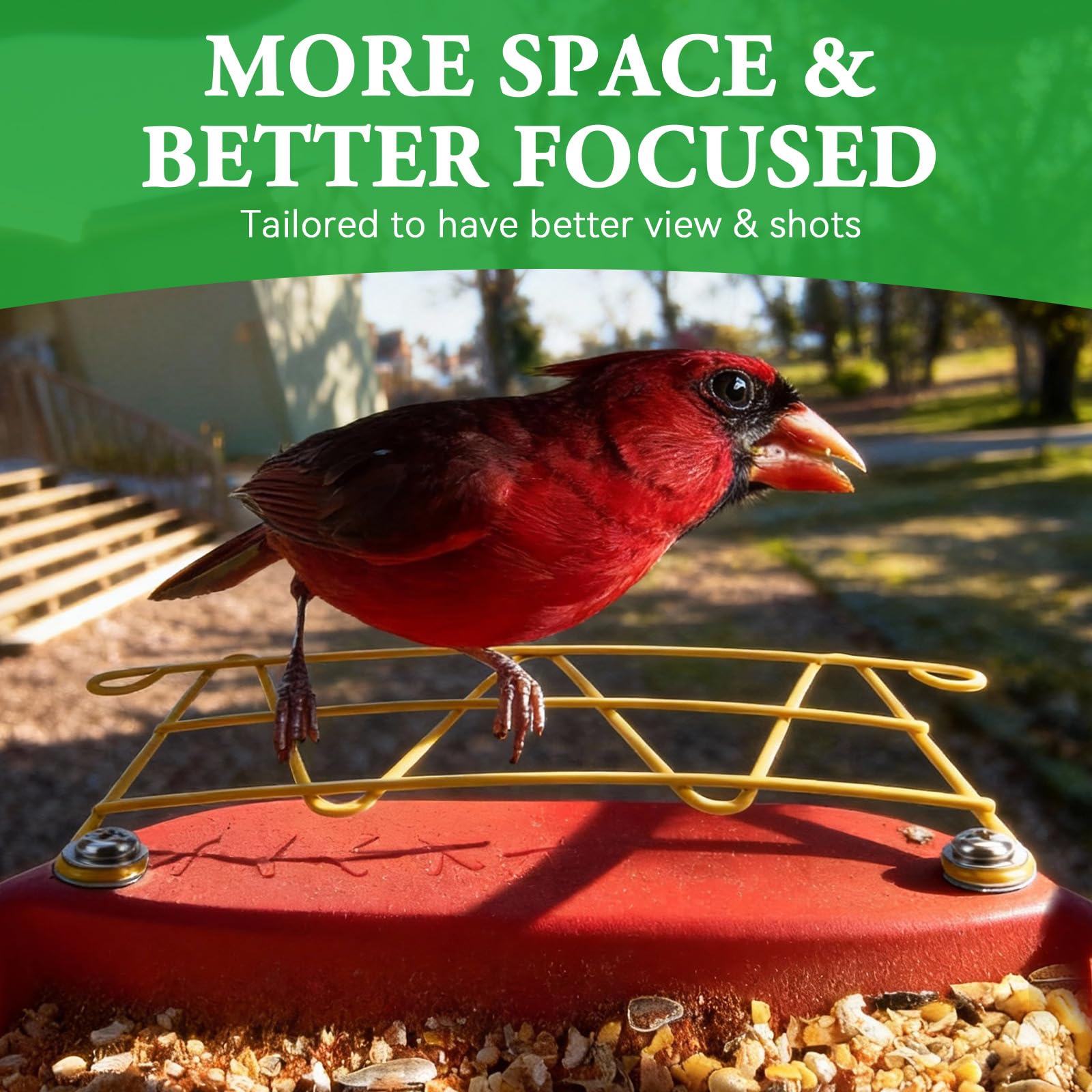 ZIRKOZIR perch extender installed on Bird Buddy showcases birds closer to the lens.