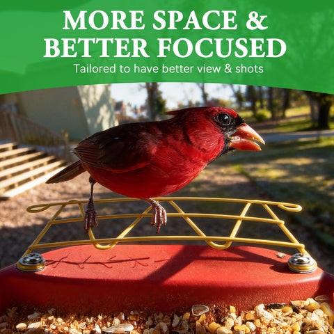 ZIRKOZIR perch extender installed on Bird Buddy showcases birds closer to the lens.