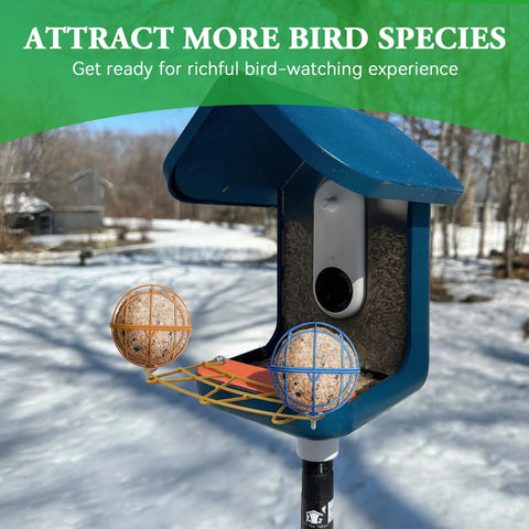 ZIRKOZIR durable perch design suits Bird Buddy feeders for long-lasting use.