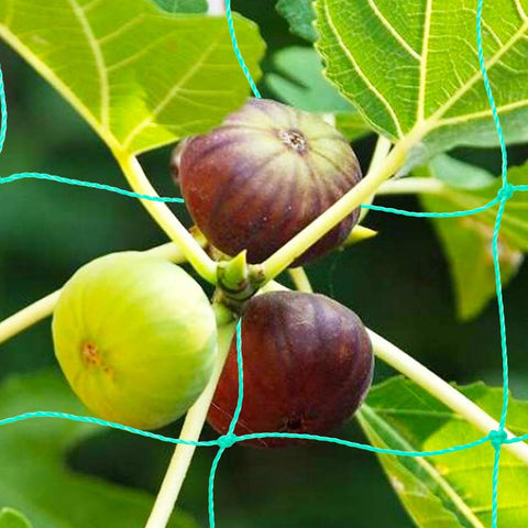 Zivisk weather-ready netting resists heat and cold for durable seasons.