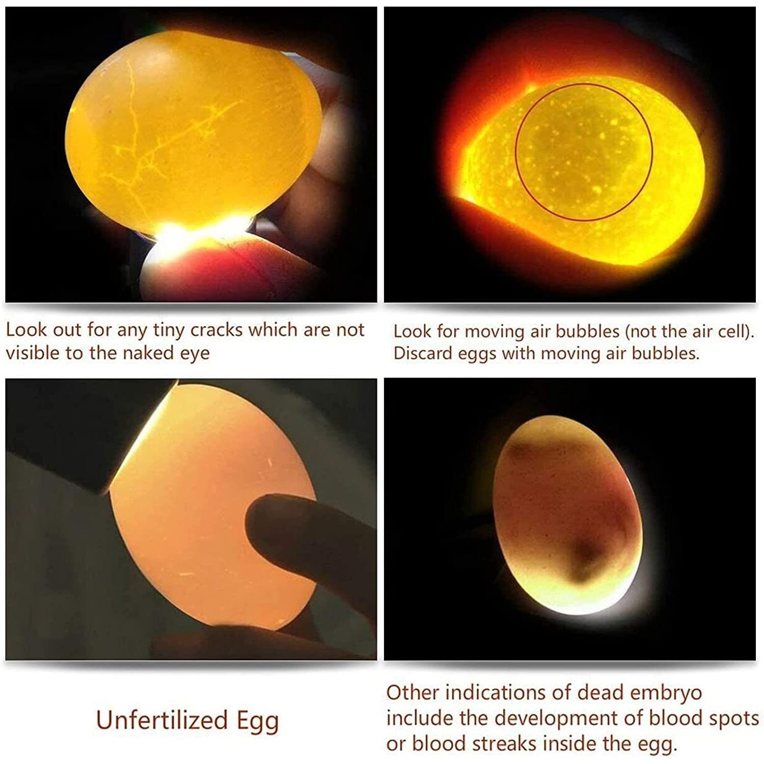 Ziyue egg candler ideal for night travel and on-the-go candling.