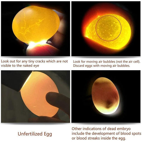Ziyue egg candler ideal for night travel and on-the-go candling.