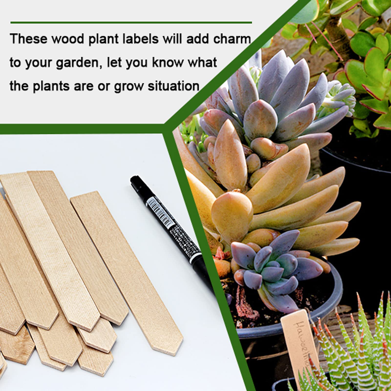 Zkptops greenhouse-ready labels help organize seedlings.