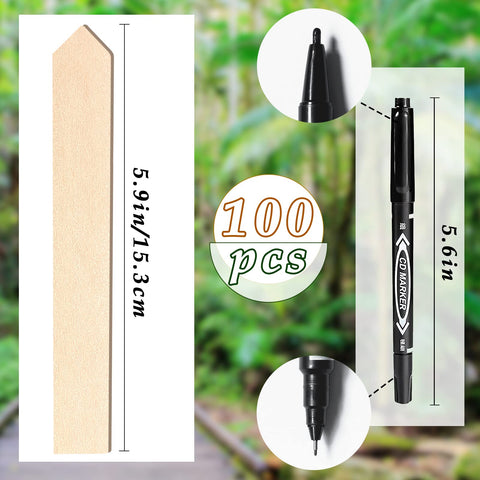 Zkptops plant name stakes 6-inch for vegetables and herbs