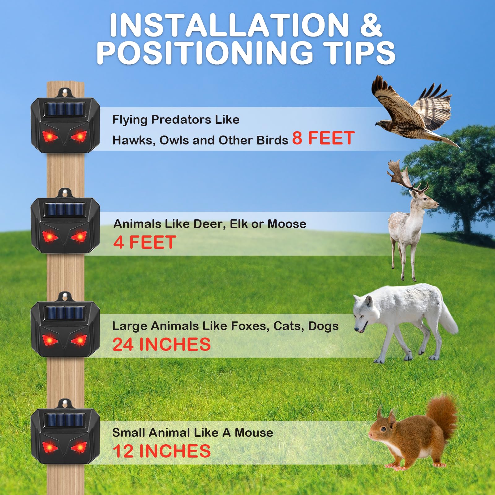 ZLieatmp dual red LED eyes deter coyotes and other nighttime visitors safely.