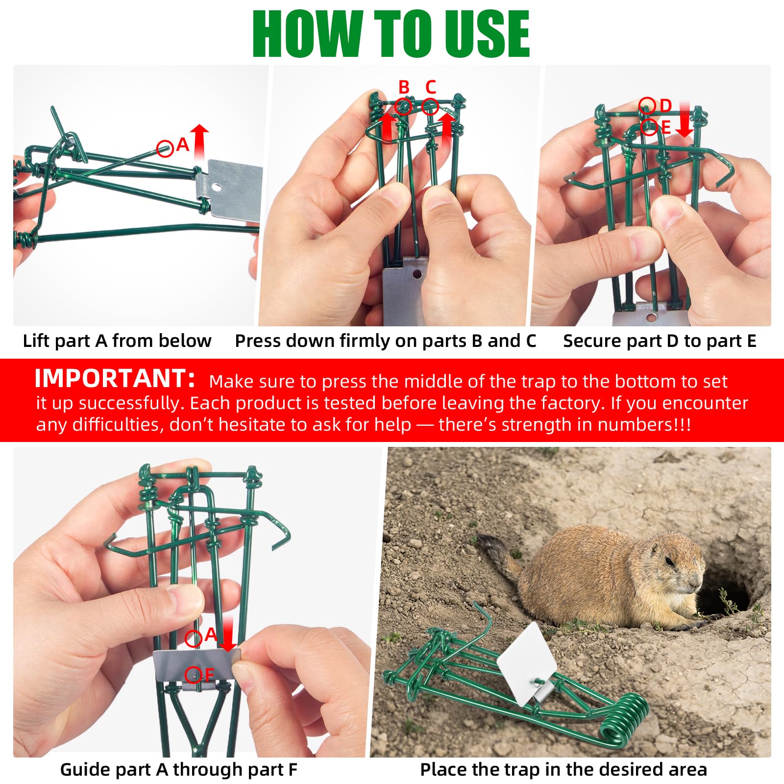 ZLieatmp durable reusable trap ready for season-long protection and reuse.