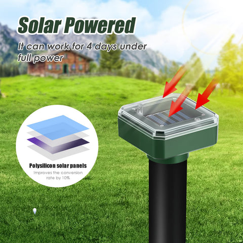 ZLieatmp-easy-installation-guide helps you set up quickly around your yard.