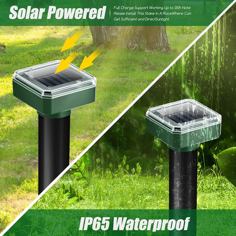 Eco-friendly, chemical-free pest control by ZLieatmp