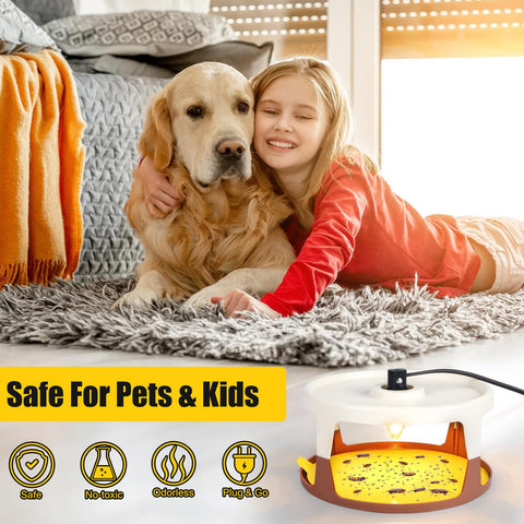 ZLieatmp flea trap near pet areas for safe, odor-free use.