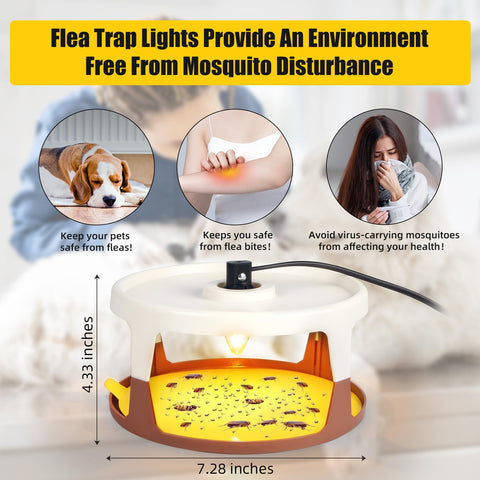 ZLieatmp flea trap with sticky pads refills for continuous capture.