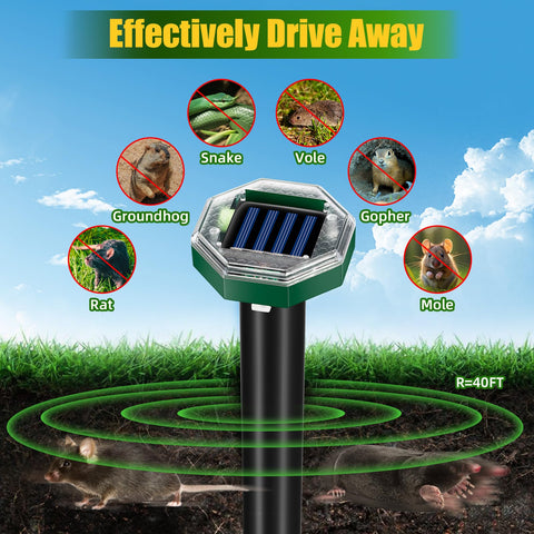 ZLieatmp IP65 weatherproof stakes withstand rain and snow for year-round protection.