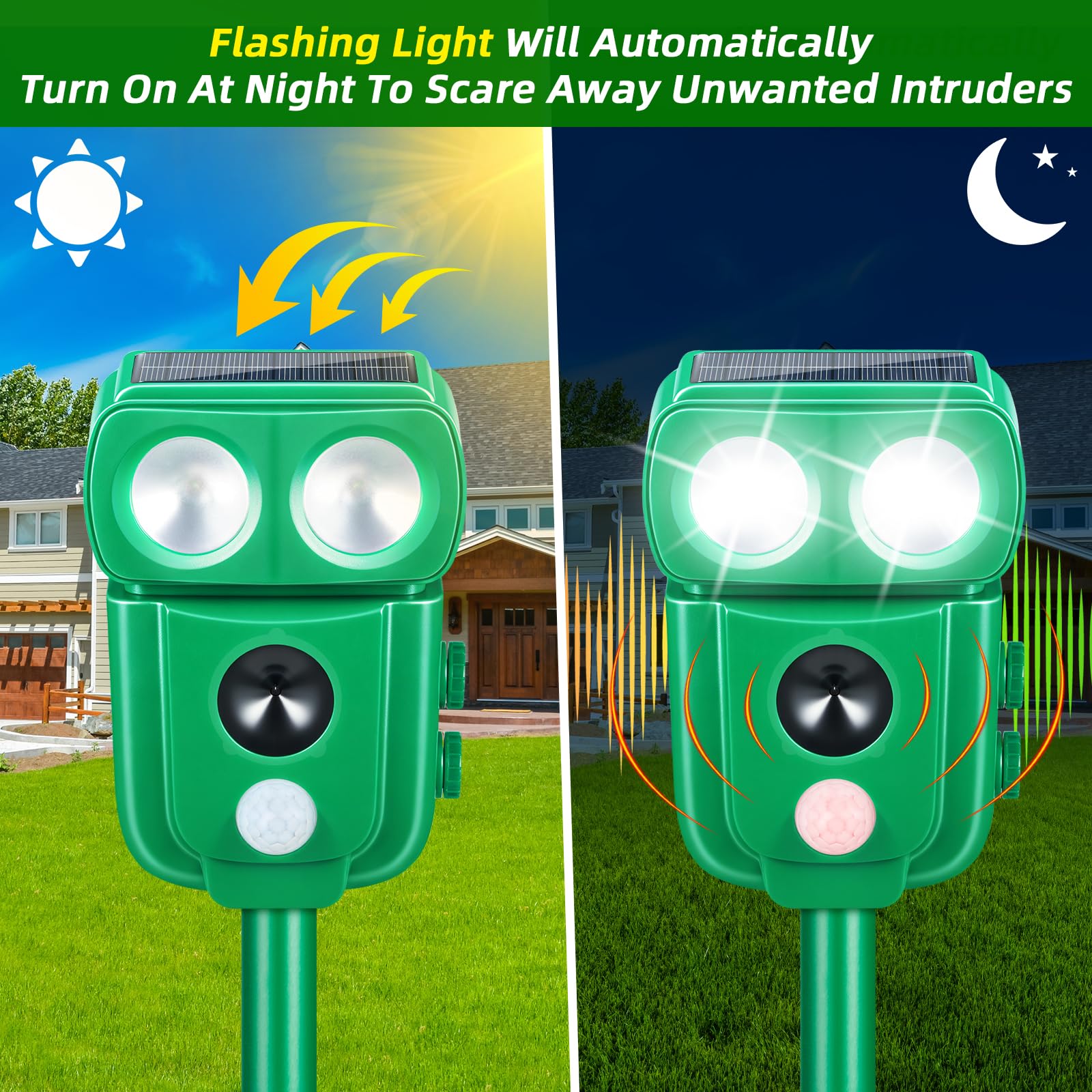 ZLieatmp works day and night with motion activated alerts.