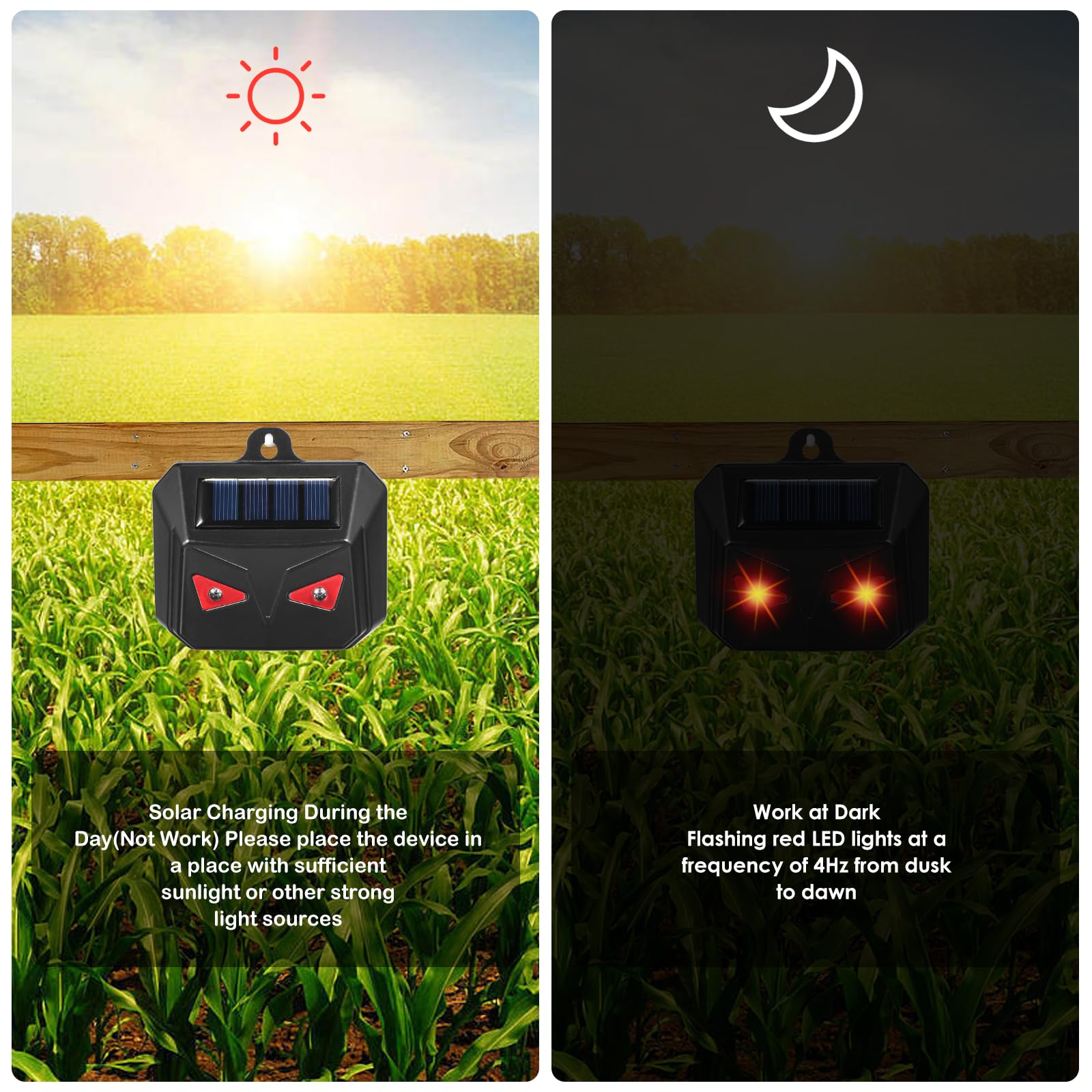 ZLieatmp rapid 4Hz flashing helps deter nocturnal visitors.