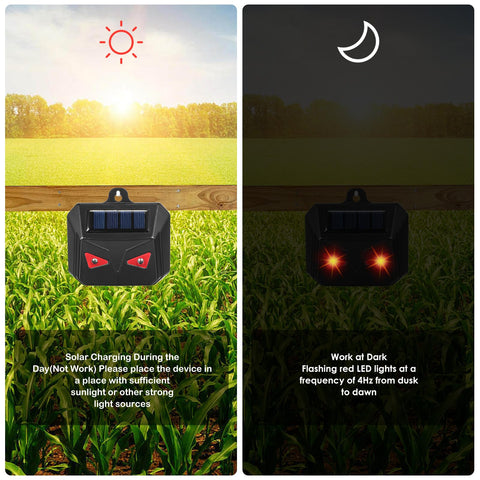 ZLieatmp rapid 4Hz flashing helps deter nocturnal visitors.