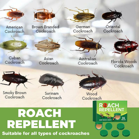 ZLieatmp roach traps back-sticker bait application in use.