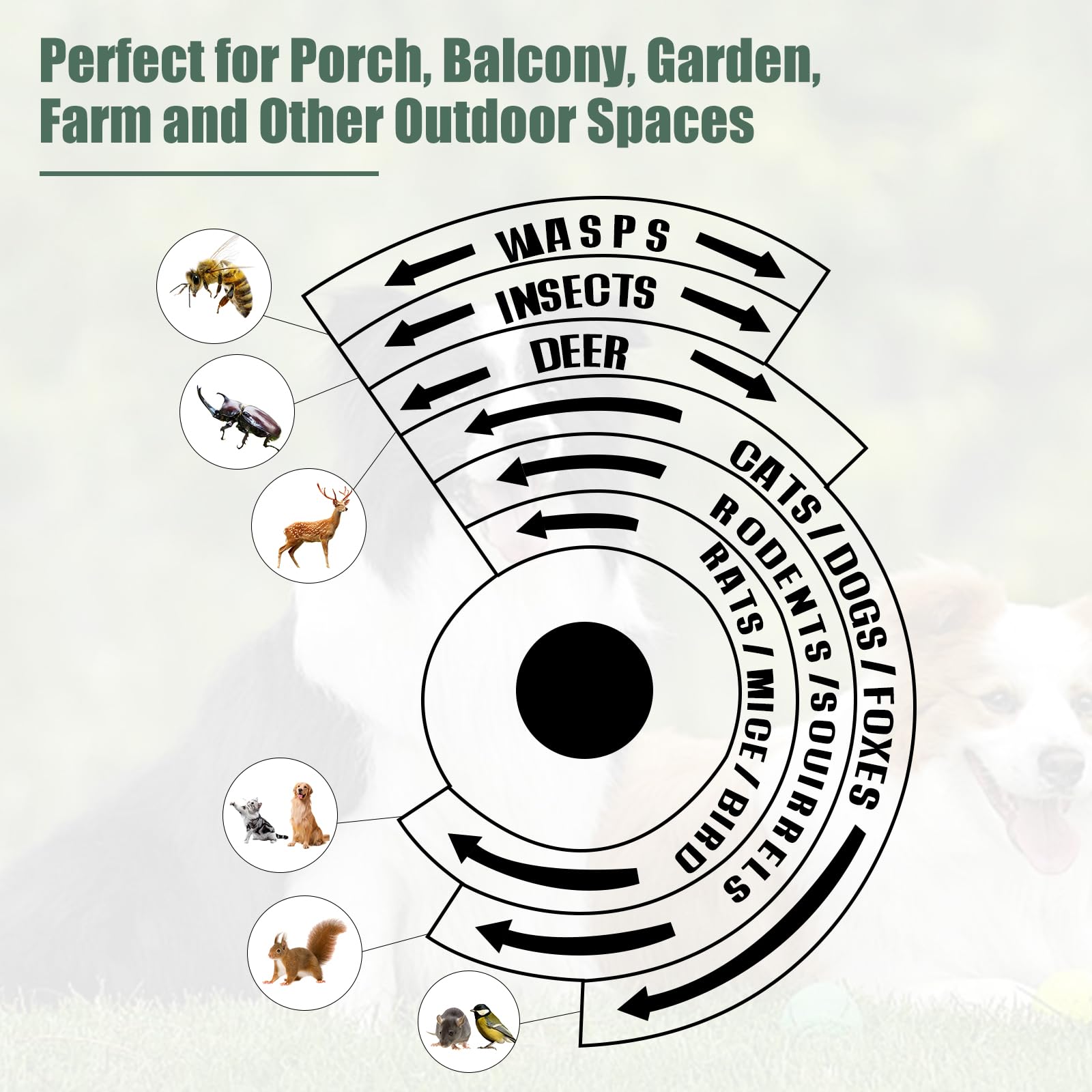 ZLieatmp bird repeller mounted on wall protects siding from woodpeckers.