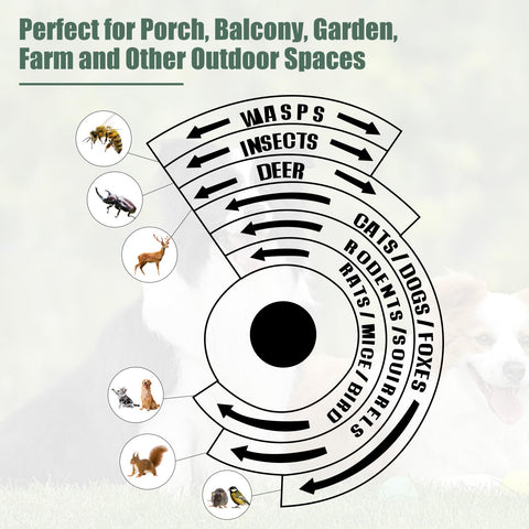 ZLieatmp bird repeller mounted on wall protects siding from woodpeckers.