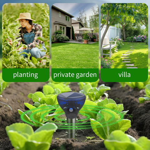ZLieatmp stakes placed every 10 feet optimize large-area coverage